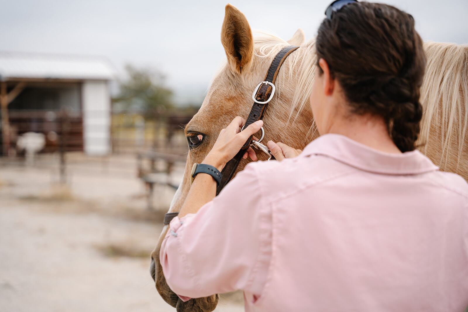 Beacon Behavioral Partners: Maples