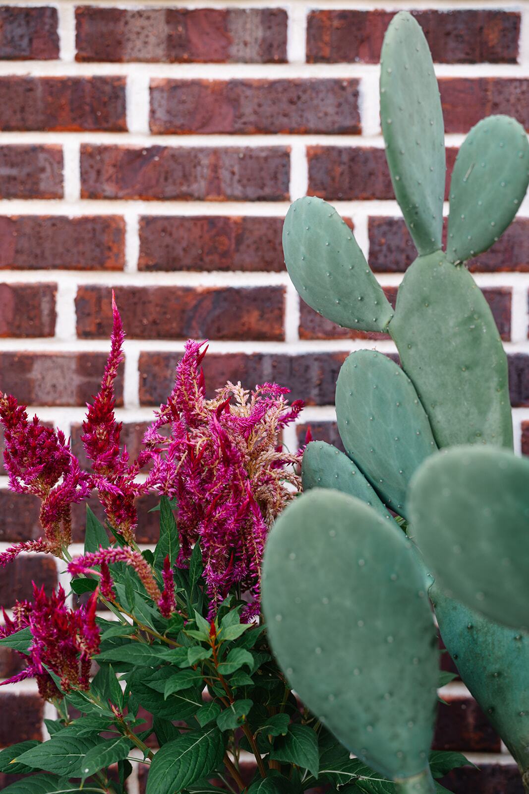 Beacon Behavioral Partners: Maples