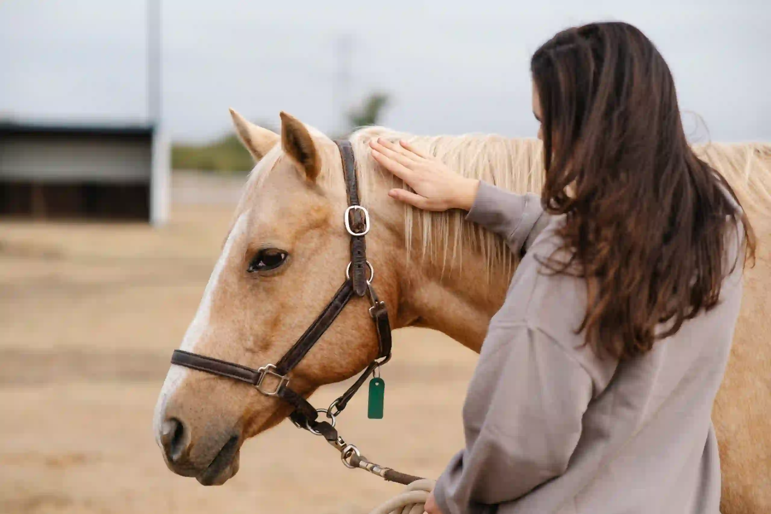 In the News: Maples’ Residential Program Supporting Teens with Eating Disorders