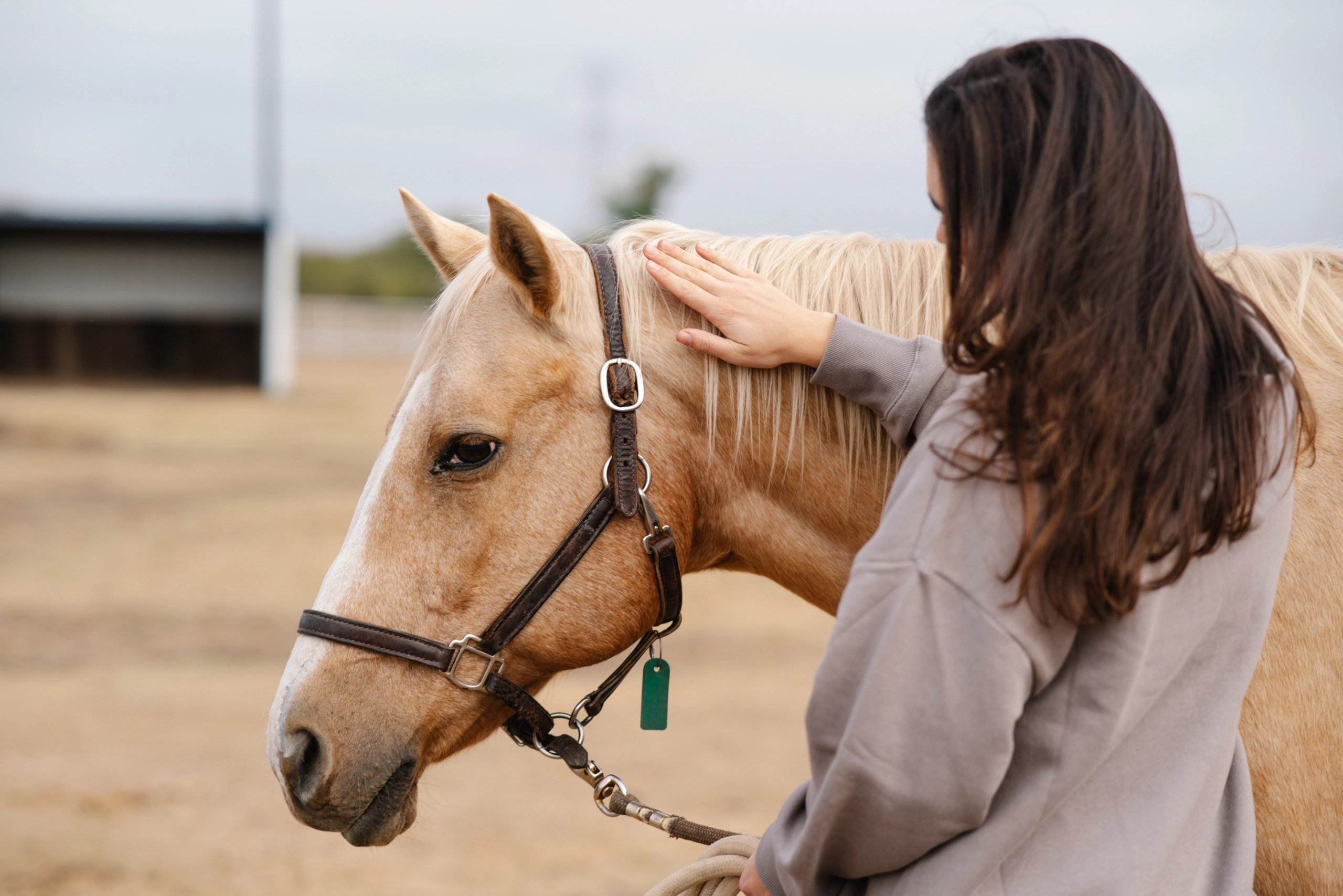 In the News: Maples’ Residential Program Supporting Teens with Eating Disorders